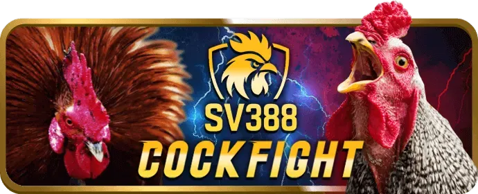 Kết luận về 28dt game