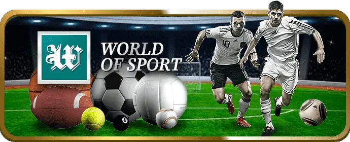 Người Chơi Chiến Thắng Đá Gà tại 28dt game